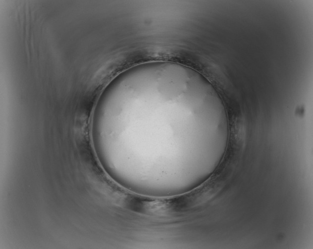 X0000111450511200907201052
