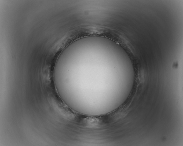 X0000111450512200907201052