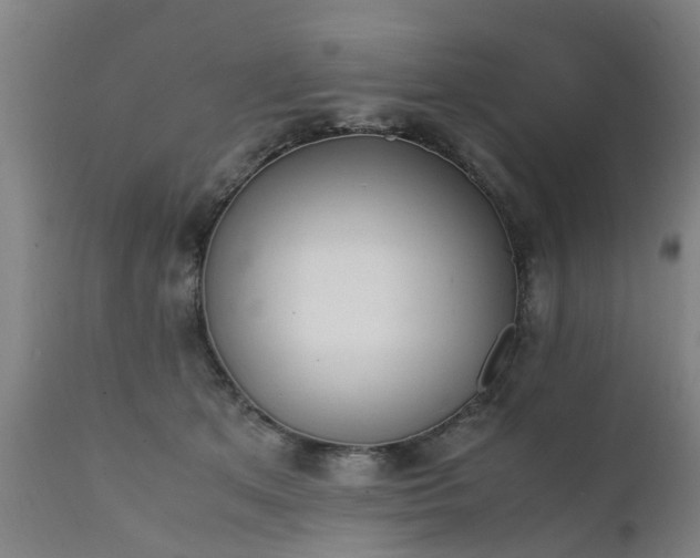 X0000111450513200907201052