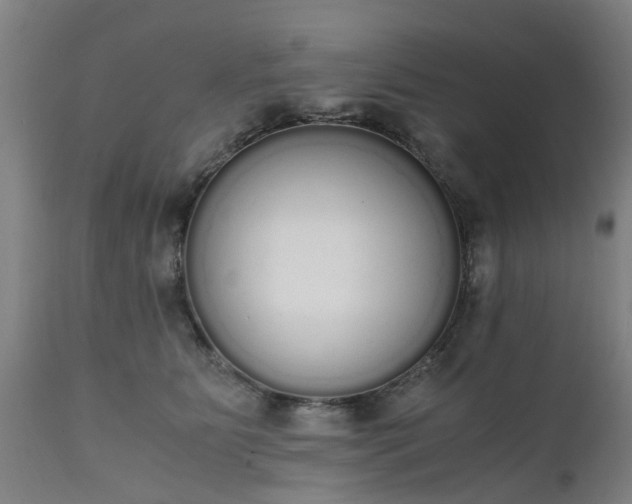 X0000111450515200907201052