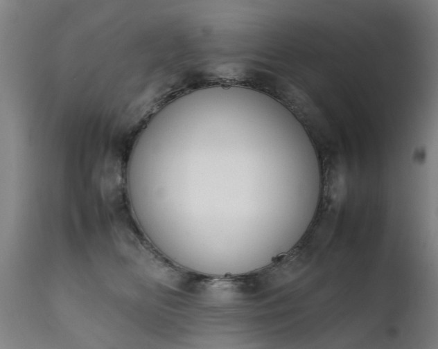 X0000111450518200907201052