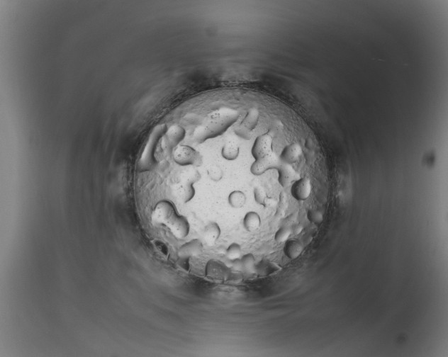 X0000111450519200907201052