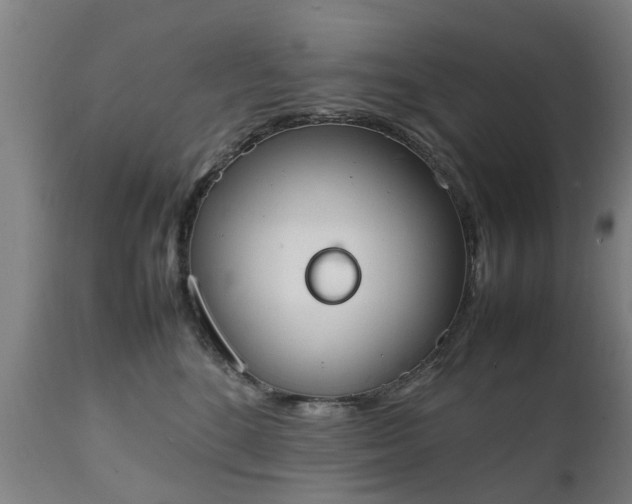X0000111450520200907201052