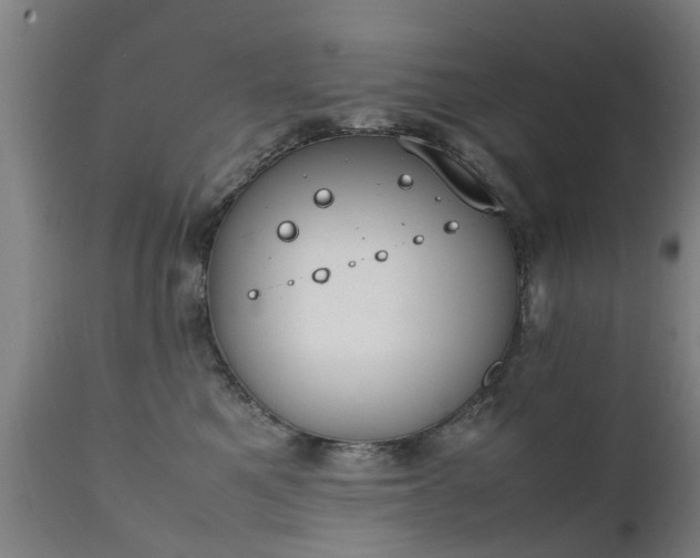 X0000111450521200907201052