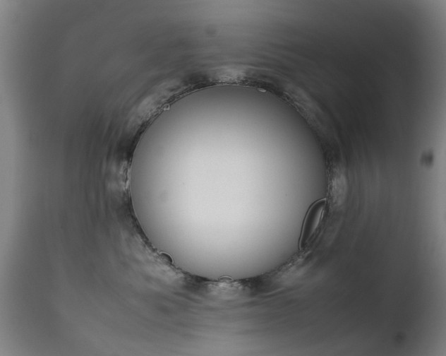 X0000111450525200907201052