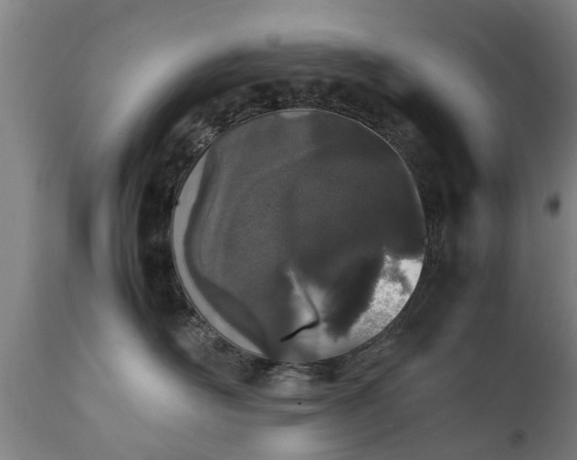 X0000111450526200907201052