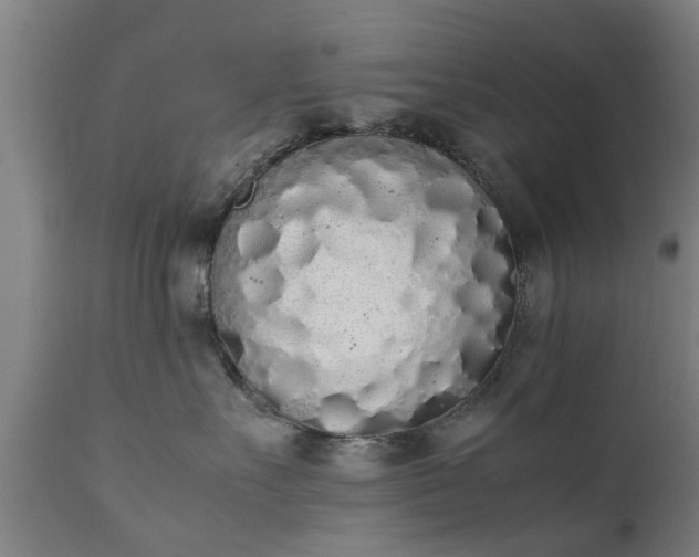 X0000111450527200907201052