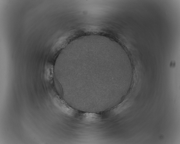 X0000111450528200907201052