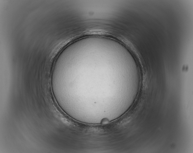 X0000111450529200907201051