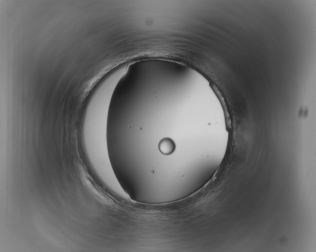X0000111450530200907201051