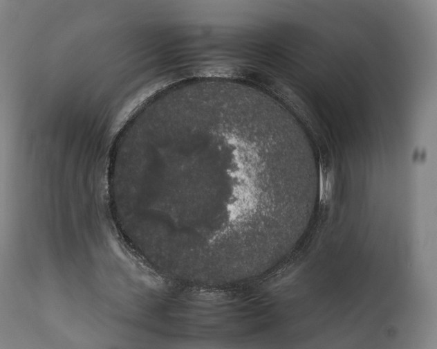 X0000111450531200907201051