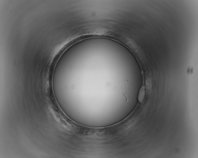 X0000111450532200907201051