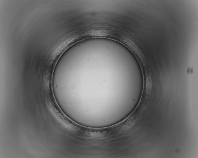X0000111450533200907201051