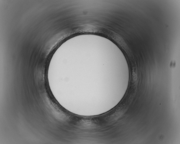X0000111450534200907201051