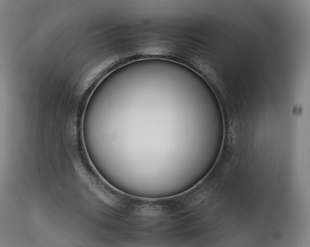 X0000111450535200907201051