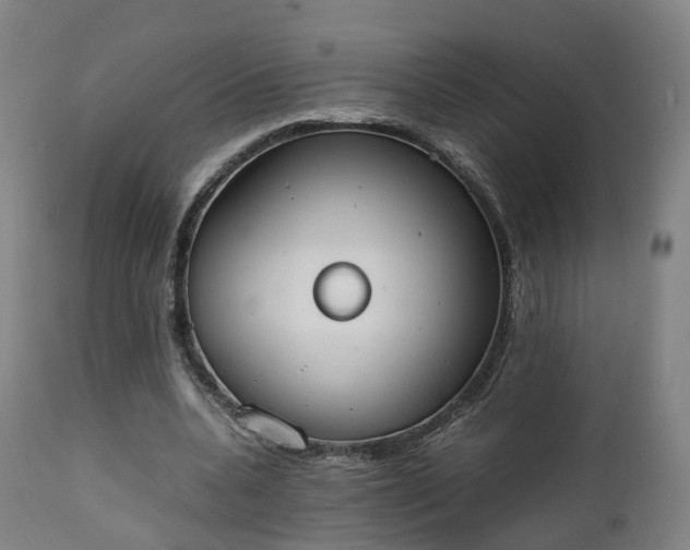 X0000111450536200907201051