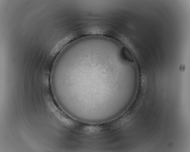 X0000111450537200907201051
