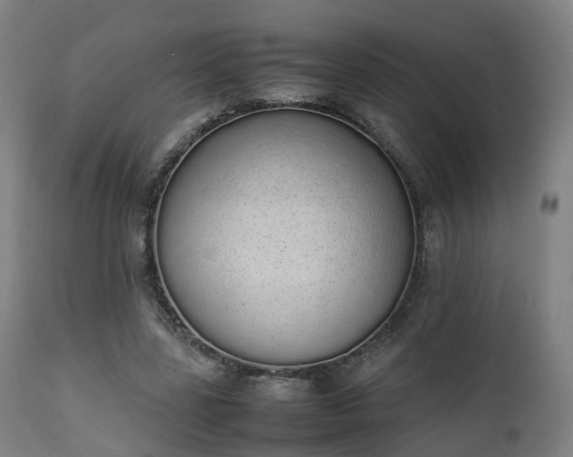 X0000111450539200907201051