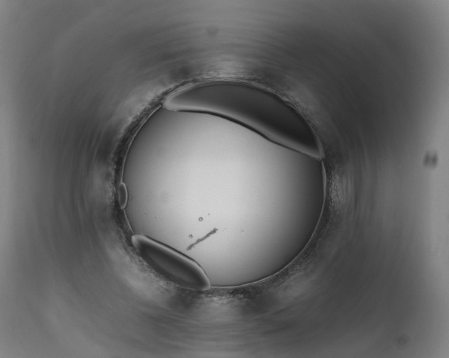 X0000111450540200907201051