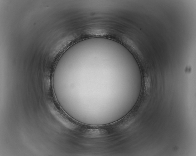 X0000111450541200907201051