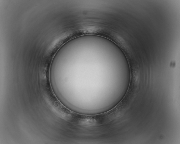 X0000111450543200907201052