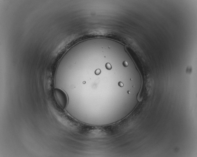 X0000111450544200907201052