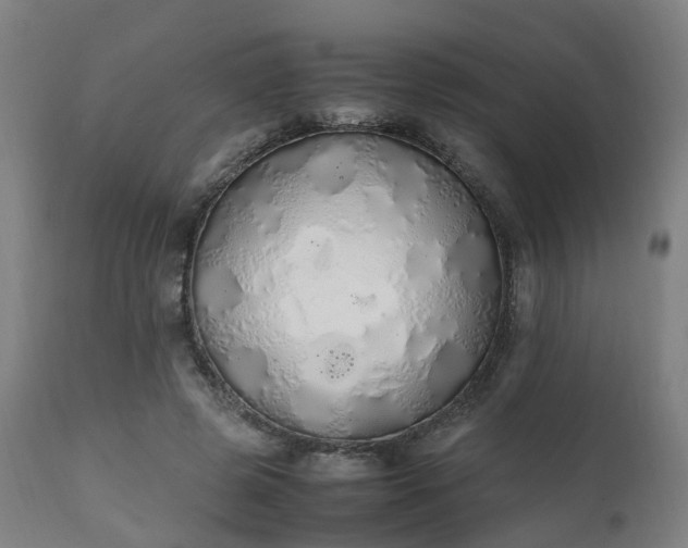 X0000111450545200907201052