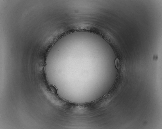 X0000111450546200907201052