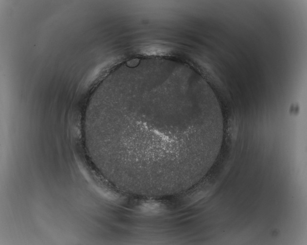 X0000111450547200907201052