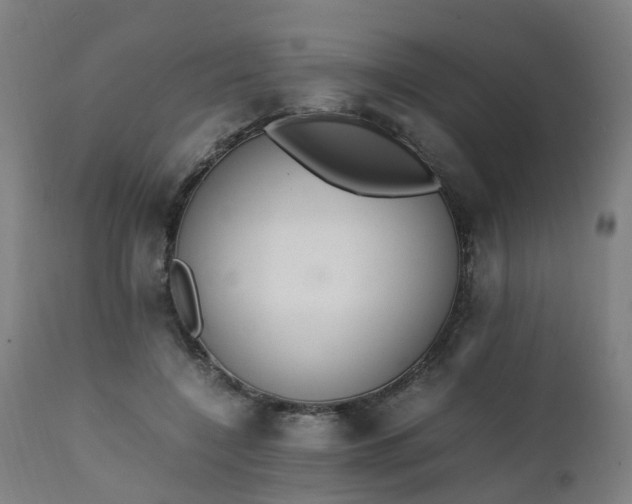 X0000111450548200907201052