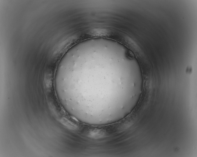 X0000111450549200907201052