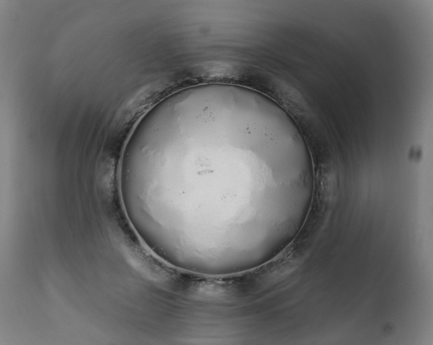 X0000111450550200907201052
