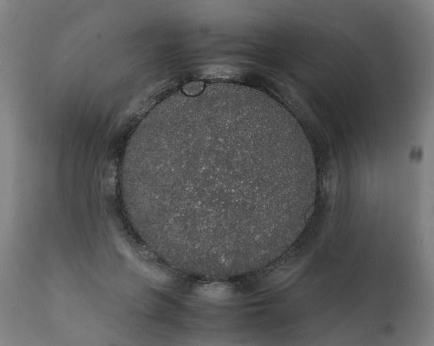 X0000111450551200907201052
