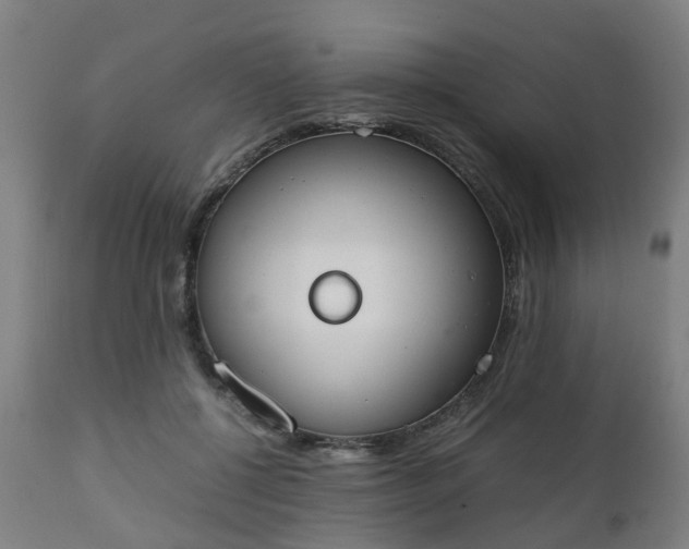 X0000111450552200907201052