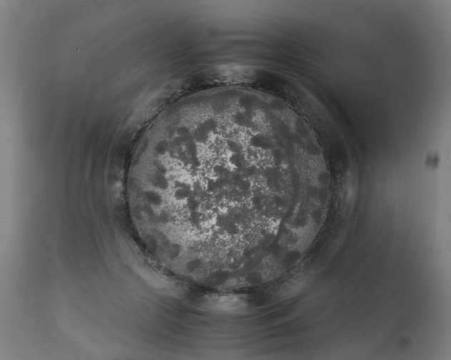 X0000111450553200907201052