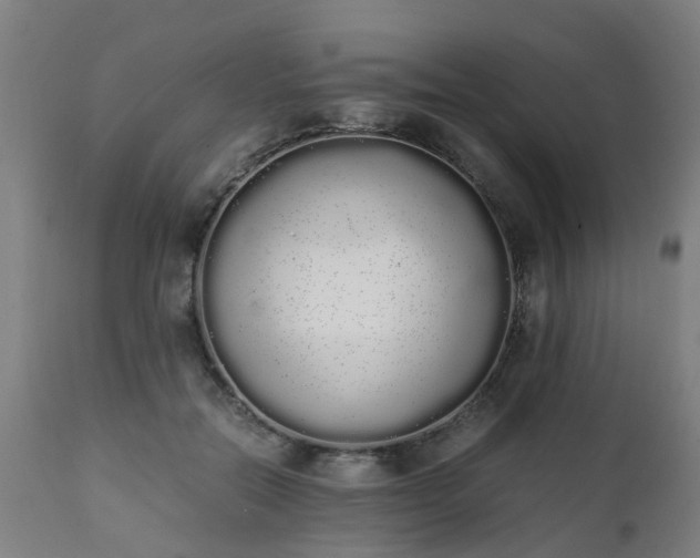 X0000111450554200907201052