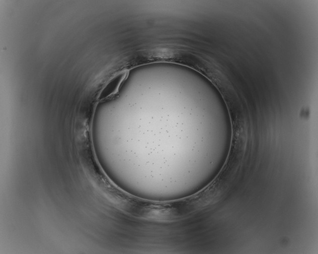 X0000111450555200907201052