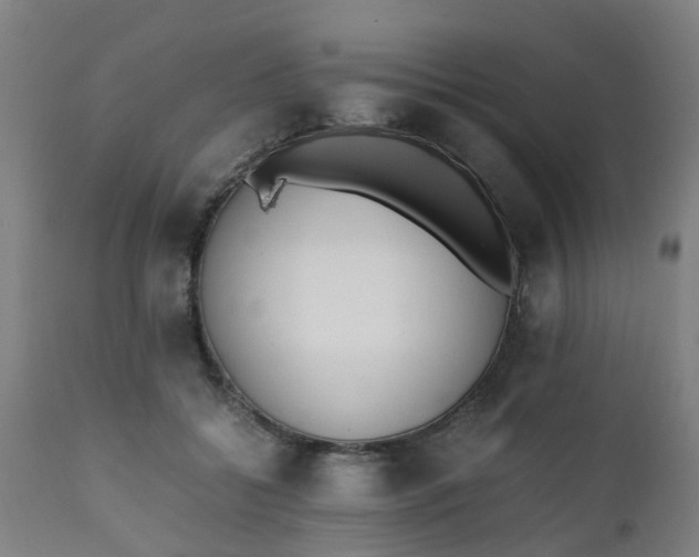 X0000111450556200907201052