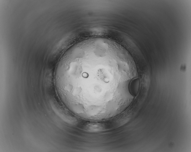 X0000111450557200907201052