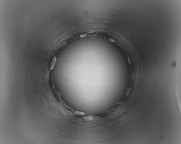 X0000111450558200907201052