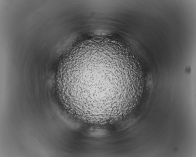 X0000111450559200907201052