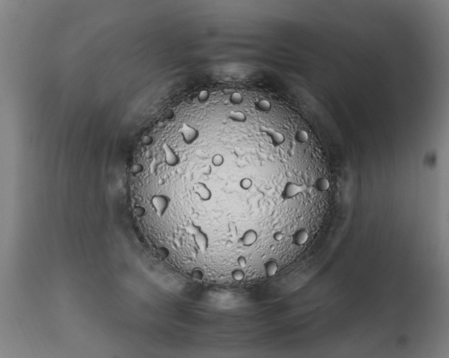 X0000111450561200907201052