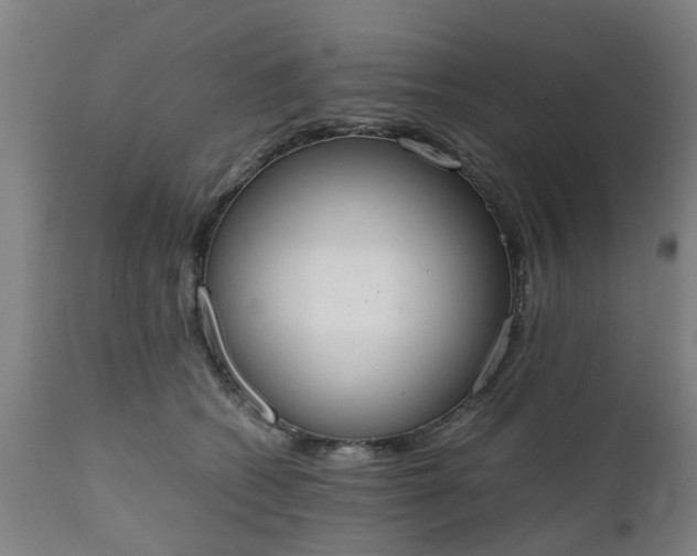 X0000111450562200907201052