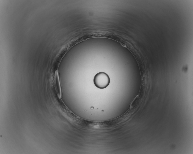 X0000111450564200907201052