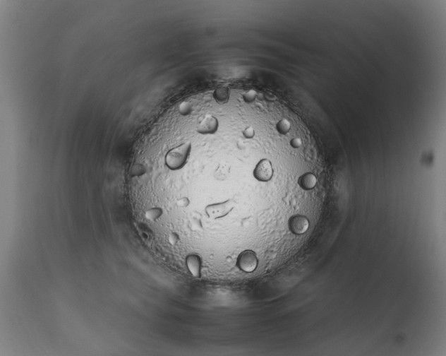 X0000111450565200907201052