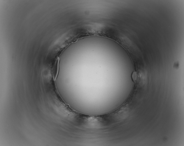 X0000111450566200907201052