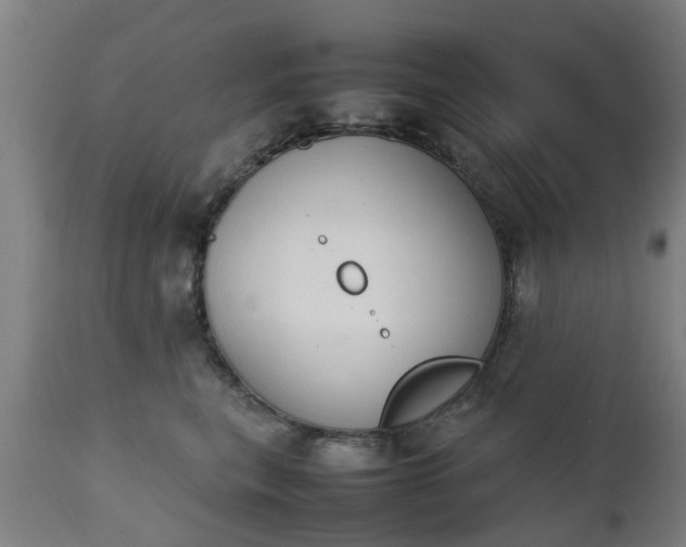 X0000111450567200907201052