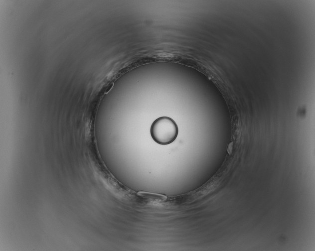 X0000111450568200907201052