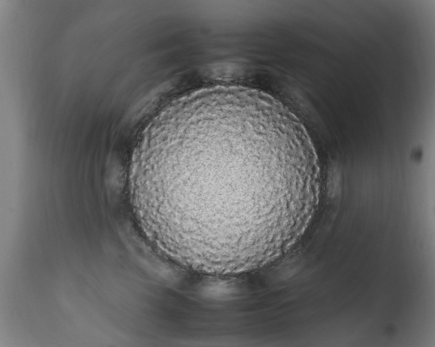 X0000111450569200907201052