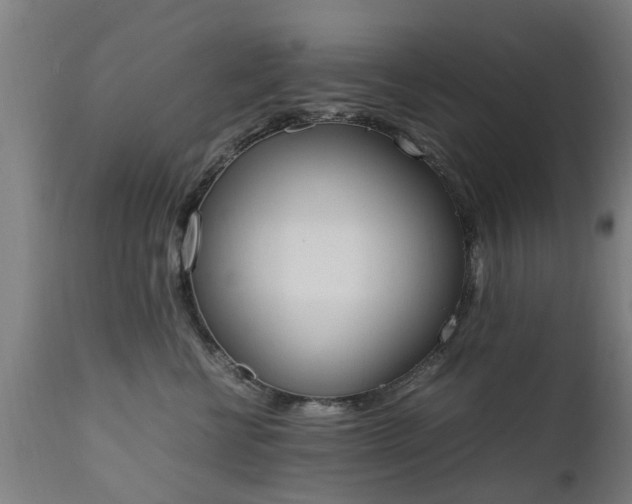 X0000111450570200907201052